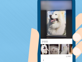 強大以圖搜圖技術是基于什么創造出來的？