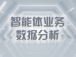 智能體業務數據分析：解鎖商業決策新范式