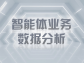 智能體業務數據分析：解鎖商業決策新范式
